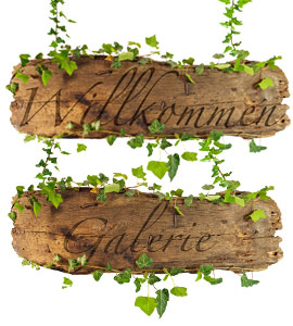 Willkommen + Gallerie
